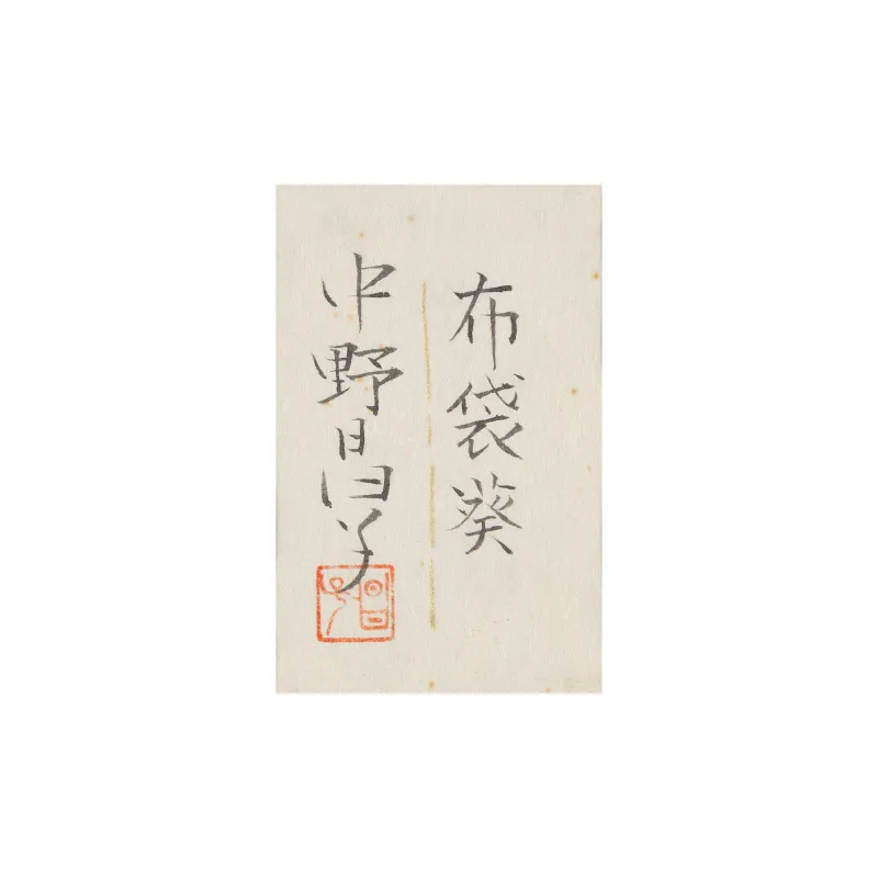布袋葵