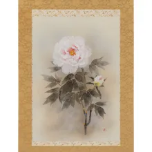 富貴花