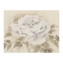 牡丹