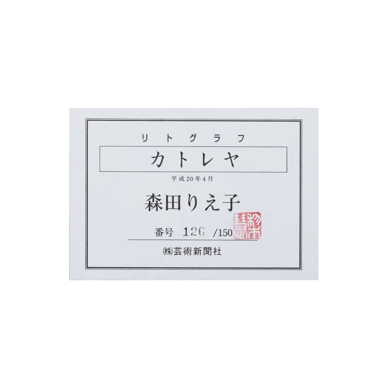 カトレヤ　