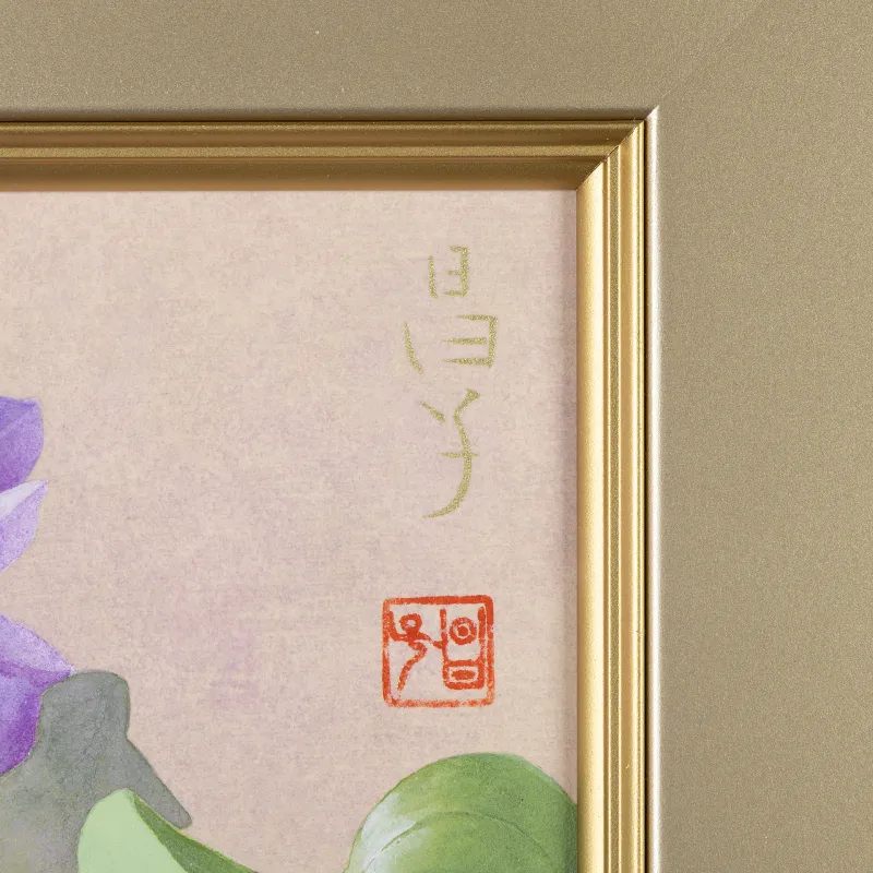 布袋葵