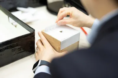 落札結果表記に関するお詫びと訂正